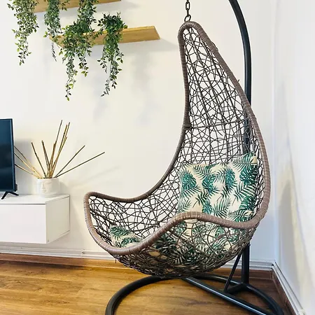 Apartment Buddha's Cluj-Napoca